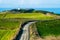 The stunning landscape of the way in a rural area in New Zealand. Gravel road among green grassland with blue sky. I