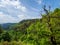 Stunning landscapes of the Vosges. Moss on the stones, views of the mountains, forest, nature