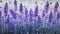 Stunning Lavender Art: Impasto Masterpiece By Carla Davis