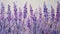 Stunning Lavender Art: Impasto Painting Masterpiece Inspired By Charles Rennie Mackintosh