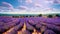 Stunning lavender field landscape with green trees