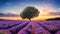 Stunning lavender field landscape with one green tree