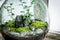 Stunning live plants in a jar, save the earth concept