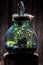 Stunning live plants in a jar, save the earth idea