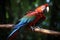 stunning macaw showcasing its vibrant and colorful plumage