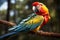stunning macaw showcasing its vibrant and colorful plumage