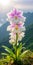 Stunning Macro Photography Of Blooming Cat-faced Orchid On Guangxi Mountain