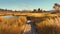 Stunning Marsh Hiking Trail Painting In Playstation 5 Style