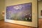 Stunning masterpiece,Monet\'s Water Lilies,Cleveland Art Museum,Ohio,2016