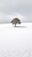 Stunning Minimalistic Landscape Photography of Spain. Perfect for Wallpapers.