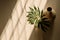 Stunning modern green foliage in a minimalist beige vase: A bird\'s-eye view, AI generated