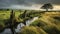 Stunning Morning View: Marsh With Lined Stone Fence On English Moors