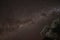 Stunning night sky with Milky Way above tree in outback Australia