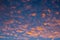 Stunning orange altocumulus clouds at sunset / sunrise. Amazing colorful sky.  Orange clouds on blue sky background