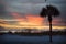 A stunning orange sky at sunset with a dark palm tree on the beach in Ft.Myers Beach, Florida.