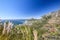 Stunning panorama view of the suburb of Camps Bay and Lion`s Head and Table mountain