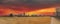 A stunning panoramic shot of the skyscrapers and office buildings in the city skyline with vast yellow winter grass