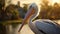 Stunning Pelican Sunset: Macro Lens Photography In Soft Light