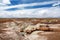 Stunning petrified wood in the Petrified Forest National Park, Arizona