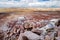 Stunning petrified wood in the Petrified Forest National Park, Arizona