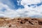 Stunning petrified wood in the Petrified Forest National Park, Arizona