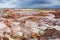 Stunning petrified wood in the Petrified Forest National Park, Arizona