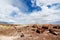 Stunning petrified wood in the Petrified Forest National Park, Arizona