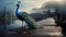 Stunning Photo Of A Peacock On An Old Pier