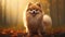 Stunning Photorealistic Full Body Portrait Of Pomeranian Breed