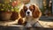 Stunning Photorealistic Portrait Of Cavalier King Charles Spaniel