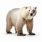 Stunning Polar Bear Portrait In High Definition