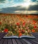 Stunning poppy field landscape in Summer sunset light conceptual