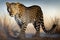 Stunning portrait of a beautiful leopard standing on the desert. World Wildlife Conservation concept