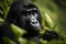 Stunning portrait of a mountain gorilla eating leaves in the forest. Amazing African wildlife. Generative Ai