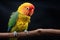 A stunning portrait showcases the lively essence of Fischers lovebird