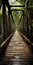 A Stunning Post-apocalyptic Bridge Crossing A Lush Green Forest