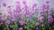 Stunning Purple Flowers Oil Painting In The Style Of Anastasiya Dobrovolskaya