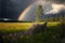 Stunning rainbow over beautiful meadow