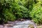 Stunning Rainmaker Waterfalls with Green Trees Rushing Water