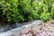 Stunning Rainmaker Waterfalls with Green Trees Rushing Water