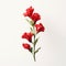 Stunning Red Flowers: A Minimalist Photorealistic Rendering