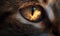 Stunning reflection in the eye of cat in macro view Creating using generative AI tools