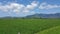 Stunning Rice Fields in The Middle Of Lombok Island