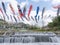 A stunning river scene in Yamagata: a multitude of koinobori in flight during the vibrant Golden Week festival, set against the