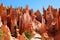 Stunning rock formations and ponderosa pines in Bryce Canyon National Park