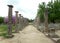 Stunning Ruins inside the Archaeological Site of Olympia