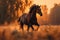 Stunning rural scene a thoroughbred stallion runs in a meadow at dusk