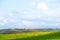 Stunning scene Cloudy and blue sky with green grassland. New Zealand agriculture in the rural area. I