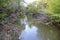 A stunning shot of the deep brown waters of the river with lush green and autumn colored trees on the banks of the Chattahoochee r