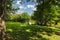 A stunning shot of a hillside covered in lush green grass near a silky green lake surrounded by lush green trees and plants